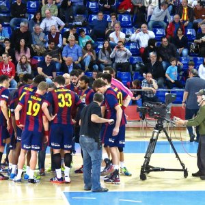 Liga Asobal de balonmano entre F.C. Barcelona y Naturhouse de la Rioja-Palau Blaugrana-Barcelona-Spain (2015)